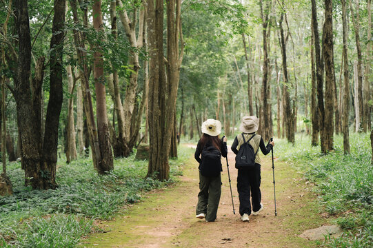 back-view-two-female-hikers-walking-forest-path.jpg