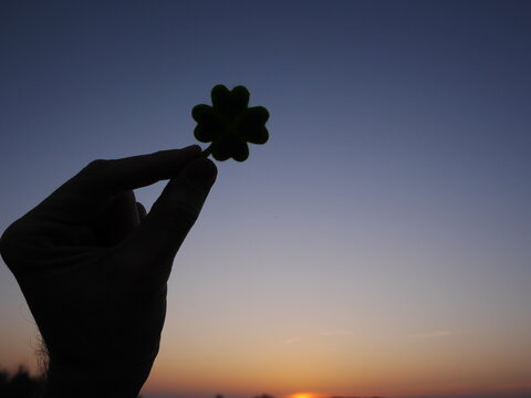 Hand holding a green shamrock in the sky