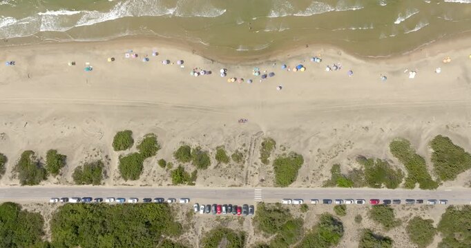 Aerial top down drone view of a sandy beach with a coastal road and parked cars running along green dune shrubs, gentle waves washing onto the shore in Sabaudia, Italy