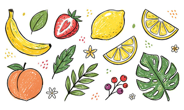 Colorful illustration of fresh fruit and leaves on white background