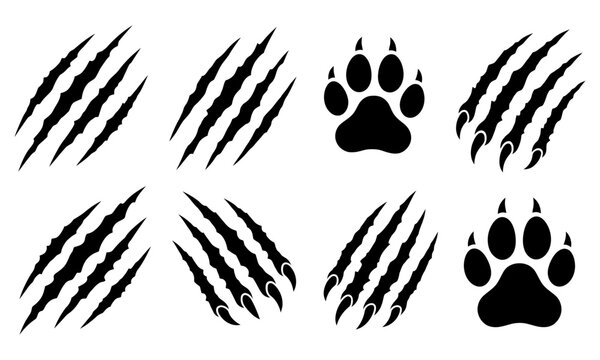 black paw prints and claws for animal or monster design
