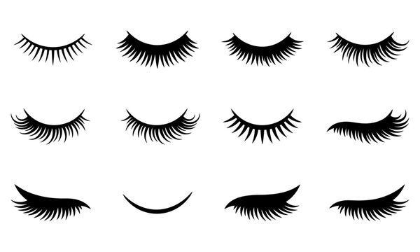 black eyelashes on white background for makeup or beauty design