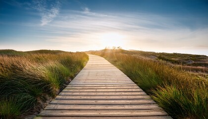 Fototapeta premium wooden plank pathway extending