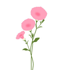Obraz premium Cute Pink Flower Stem Illustration for Floral Decoration, Wedding and Spring Design. Morning Glory Flower
