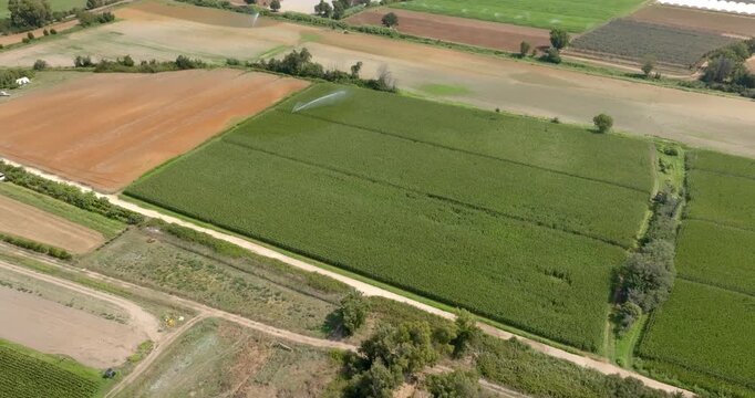 Aerial drone view of a patchwork of farmland fields with different crops, an irrigation sprinkler and a dirt road, rural countryside landscape.