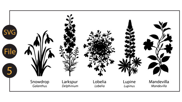 Botanical set of five different black silhouette flowers vector design.