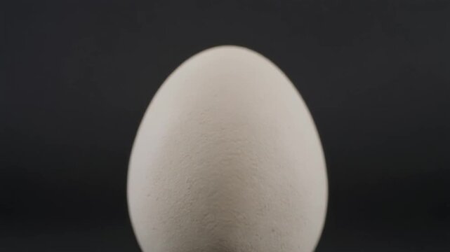 Extreme macro footage of a single whole clean white chicken egg clearly visible for food recall news