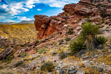 Red sandstone monolith boulder standing in Calico Basin Nevada © PhotoSpirit