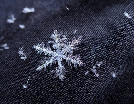 photo of real snowflakes on dark wool fabric
