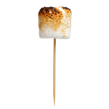 Single toasted marshmallow on a thin wooden stick, with a golden brown caramelized surface, isolated on a clean white background