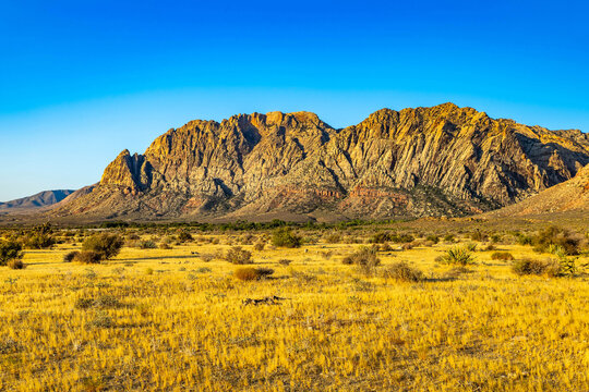 Morning view of sandstone formations along First Creek Trail