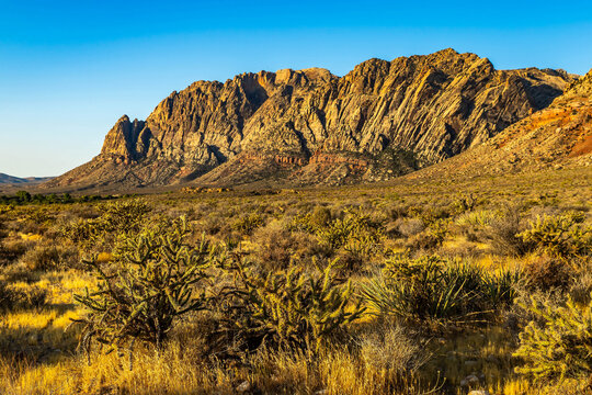 Morning view of sandstone formations along First Creek Trail