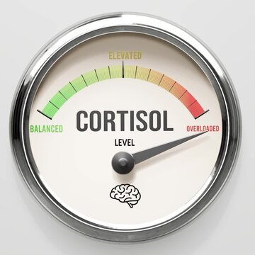 Cortisol - cortisol level at maximum. High and rising values of cortisol. Meter needle reaching overloaded levels. Cortisol values off the charts. (No AI, made by humans for humans).
