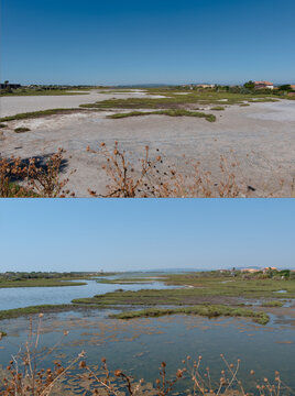 SUD, FRANCE - &Eacute;T&Eacute; 2026 : Montage photo montrant la comparaison avant et apr&egrave;s de l'impact de la s&eacute;cheresse sur une zone humide pr&egrave;s de Montpellier