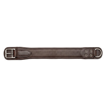 Equestrian brown leather girth with silver buckle and D ring for horse tack