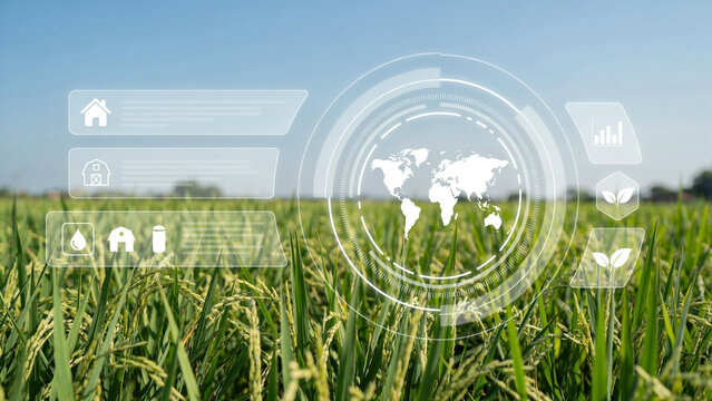 Smart agriculture technology concept with digital hud interface over a lush rice field