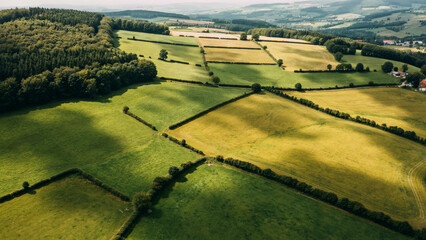 Obraz premium Aerial View of Lush Green Rolling Farmland and Verdant Countryside Fields
