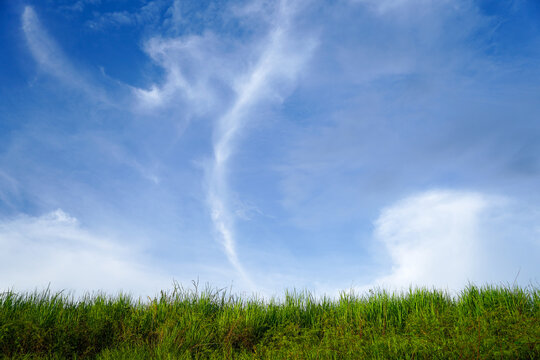 Vibrant Green Grass Field Stretching under Bright Blue Sky with Wispy White Clouds, Scenic Summer Meadow Nature Background