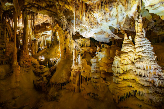 Illuminated limestone shields and formations in Lehman Caves