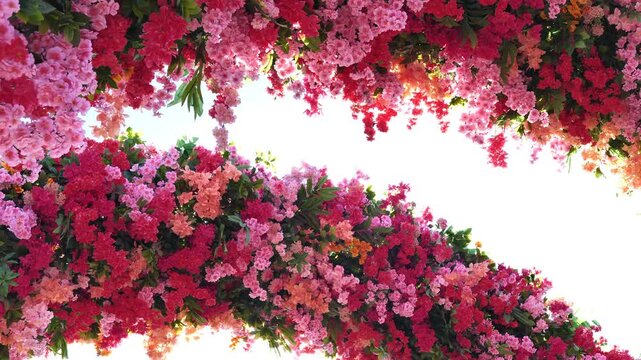 Vibrant pink and red floral arch creating beautiful frame against bright sky