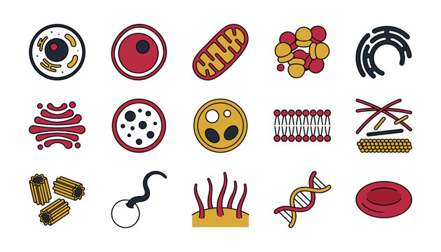 Set of biological cell organelles and structures icons, including nucleus, mitochondria, ribosomes, golgi apparatus, cell membrane, dna, and cytoskeleton components