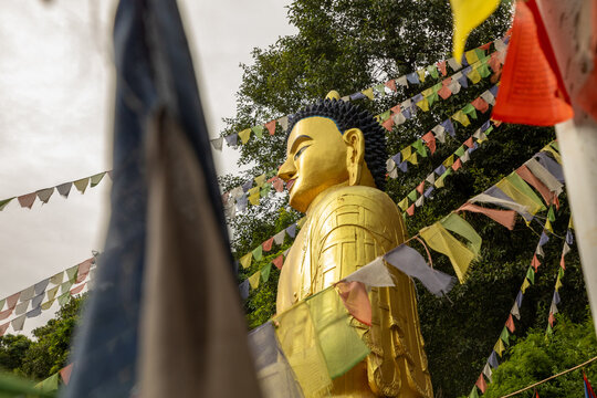 View of a golden Buddha statue adorned with colorful prayer flags and surrounded by lush green trees in Pokhara, Gandaki Province, Nepal.
