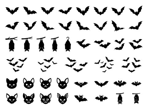 Collection of black bat silhouettes and halloween cat faces on a white background