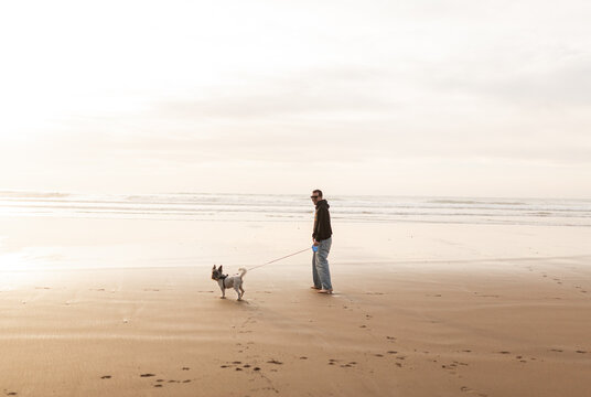 Man walking dog on the beach during summer