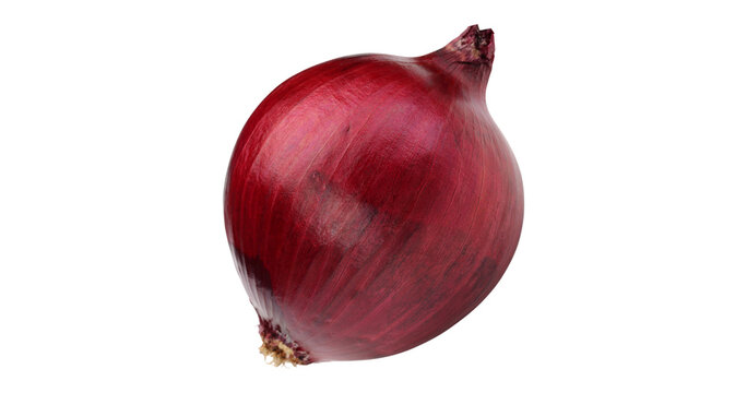 Fresh red onion bulb with dry skin and roots healthy vegetable food isolated on transparent background png.