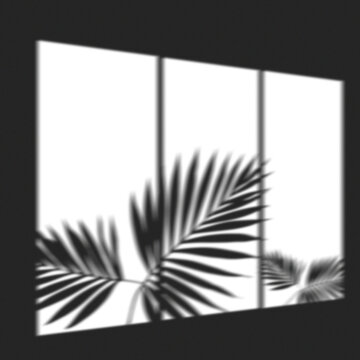 Dramatic shadow of tropical palm leaves cast on a dark wall creating a minimalist silhouette effect with a moody atmosphere
