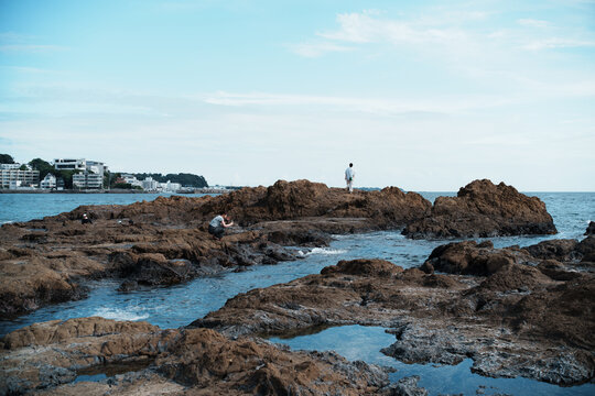 View of people exploring the rocky coastline with tide pools and distant buildings under a clear blue sky in Hayama, Kanagawa, Japan.