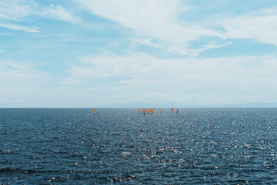 View of windsurfers with orange sails on the sparkling sea under a bright blue sky in Hayama, Kanagawa, Japan.
