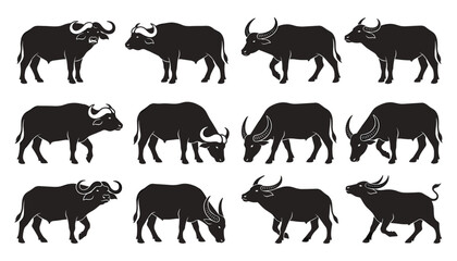Obraz premium African Cape Buffalo and Asian Water Buffalo Silhouette Icon Set Featuring Wild Bulls in Various Poses Vector Illustration for Livestock and Wildlife Designs
