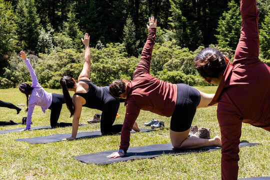 Women practice outdoor pilates in a forest clearing