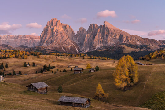 View of the Dolomites mountain range with traditional wooden huts in a grassy meadow during golden hour in Campitello di Fassa, Trentino-Alto Adige, Italy.
