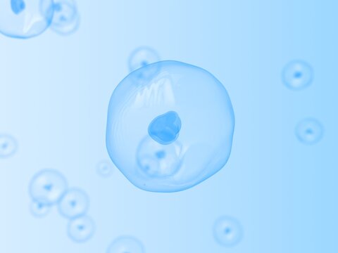 Translucent cell illustration for medical microbiology research