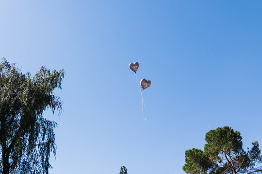 Heart balloon float above treetop against clear blue sky