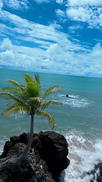 Tambaba Beach In Conde Paraiba Brazil. Stunning Tropical Coastline Beach Scene Viewed From Above. Beach Landscape. Landmark Coast. Conde Paraiba.