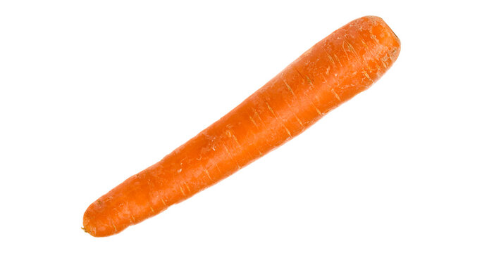 Fresh baby carrots with green tops isolated PNG, bunch of orange root vegetables tied with twine on transparent background