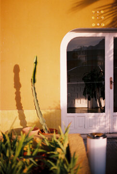 Sunlit yellow house entrance with plants and shadows