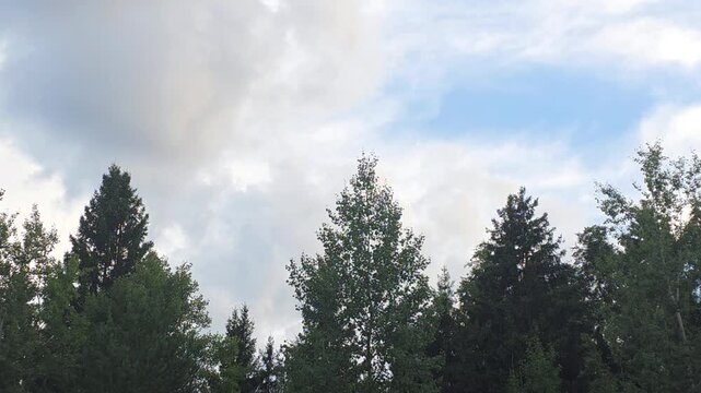 View of clouds and trees during afternoon in a natural setting