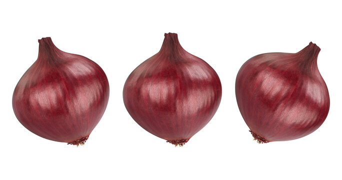 Fresh red onion bulb with dry skin and roots healthy vegetable food isolated on transparent background png.