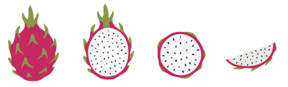 dragon fruit hand drawn set illustration 