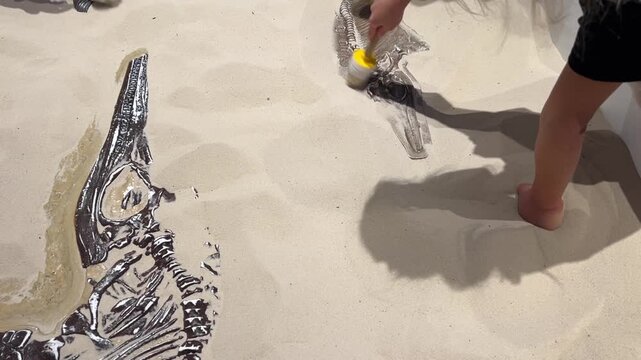 Top-down view: children's hands use a brush to unearth a dinosaur skeleton from the sand. The children are learning about the process of simulating a dinosaur fossil excavation at a museum