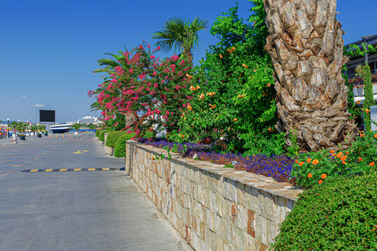 A scenic paved promenade features vibrant tropical flowers, lush green shrubs, and palm trees under a clear blue sky.