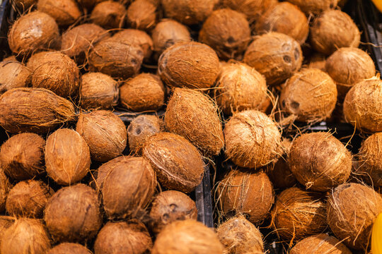 Fresh whole coconuts stacked in supermarket produce section with tropical organic food assortment and healthy grocery shopping concept