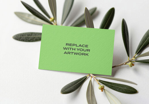 Business card mockup on textured paper with olive branch, minimalist stationery branding presentation, flat lay product display, realistic print template for graphic design and visual identity