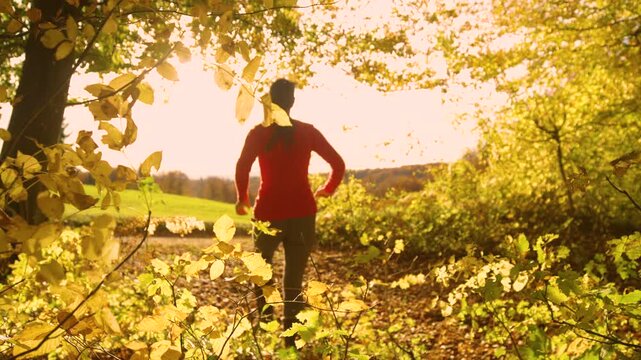 LENS FLARE, DOF, SLOW MOTION: Woman runs through colorful autumn forest and pauses by an open meadow to admire the view. Relaxing sports activity in the embrace of warm golden light and glowing leaves