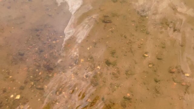 Sunlit ripples move over a muddy river bottom in shallow water