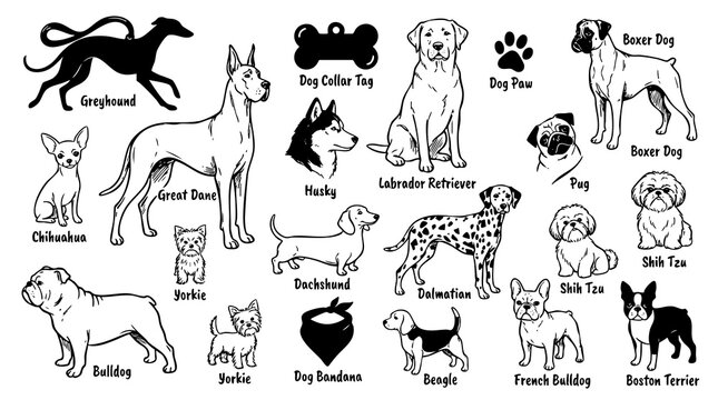 Black and white dog breeds and pet accessories outline vector icons set for animal themes.